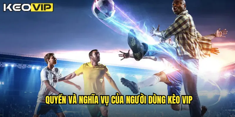 Quyền và nghĩa vụ của người dùng kèo vip