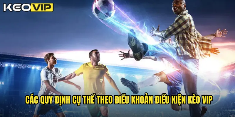 Các quy định cụ thể theo điều khoản điều kiện kèo vip